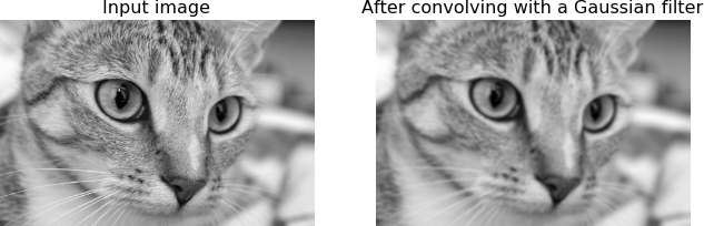 Figure 8-10. An image of a cat, before and after applying a 2D Gaussian filter