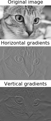 Figure 8-4. Gradients of an image of a cat